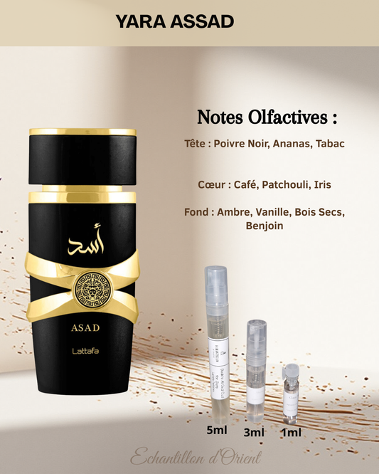 Echantillon Asad Eau Parfum de Lattafa Perfumes