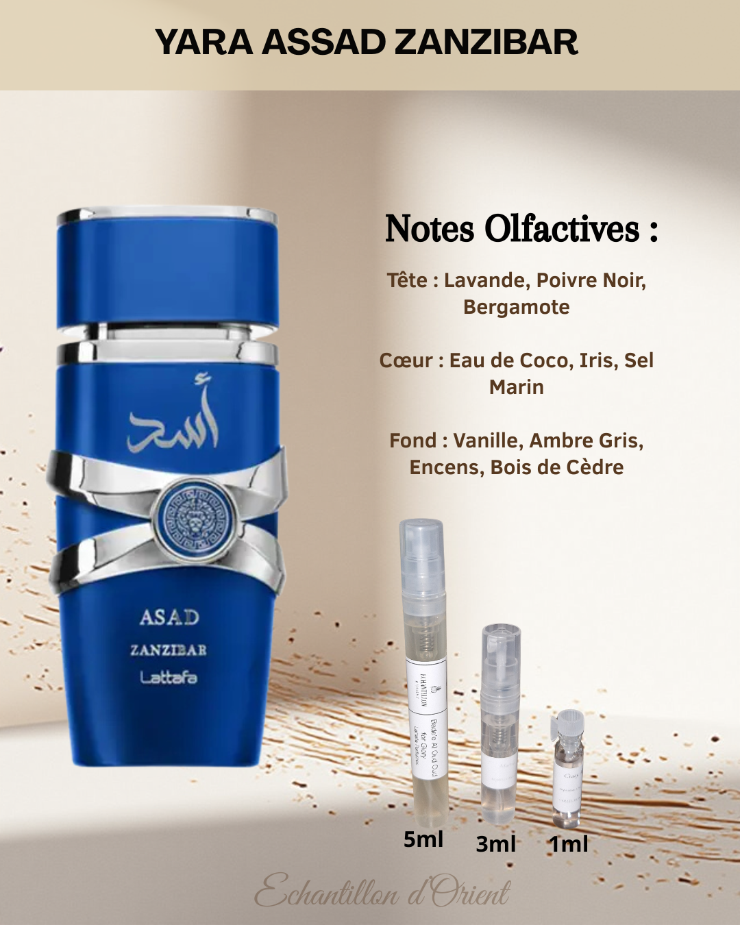 Echantillon Asad Zanzibar Eau Parfum de Lattafa Perfumes